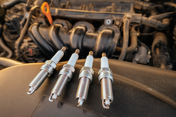 Kia Sportage Spark Plug 2008 Kia Sportage Spark Plug 2008