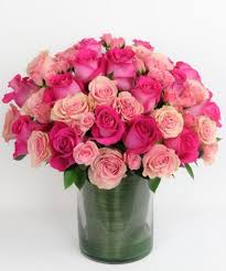 Pink Flowers